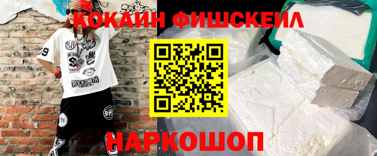 Кокаин Fish Scale  Бийск  COCAIN  Кокаин Fish Scale 