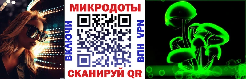 Псилоцибиновые грибы Psilocybe  купить наркотик  Бийск 