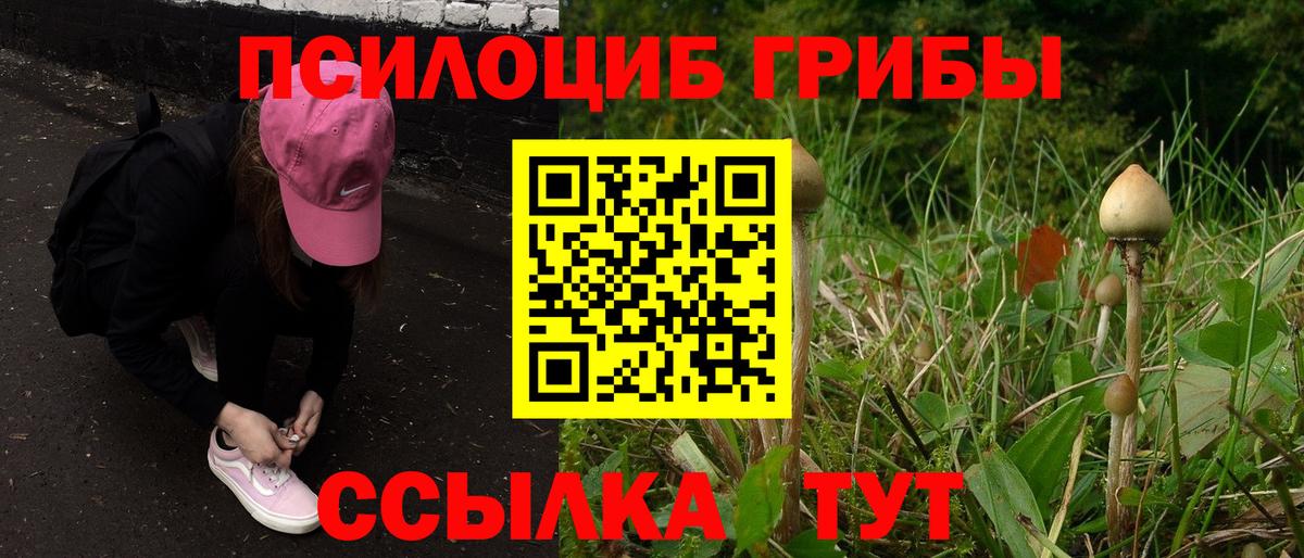 Галлюциногенные грибы Psilocybe  Вход с VPN  Бийск 