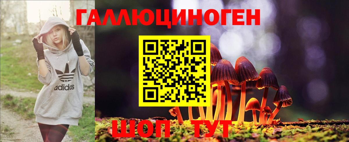 Псилоцибиновые грибы Cubensis  Галлюциногенные грибы Psilocybine cubensis  как найти   Бийск 