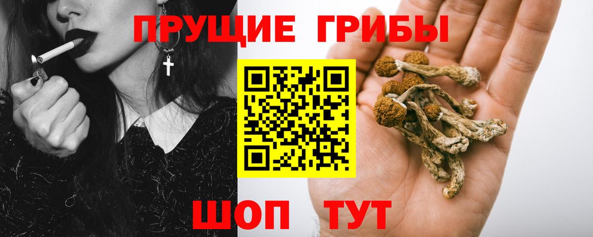 Псилоцибиновые грибы ЛСД Бийск