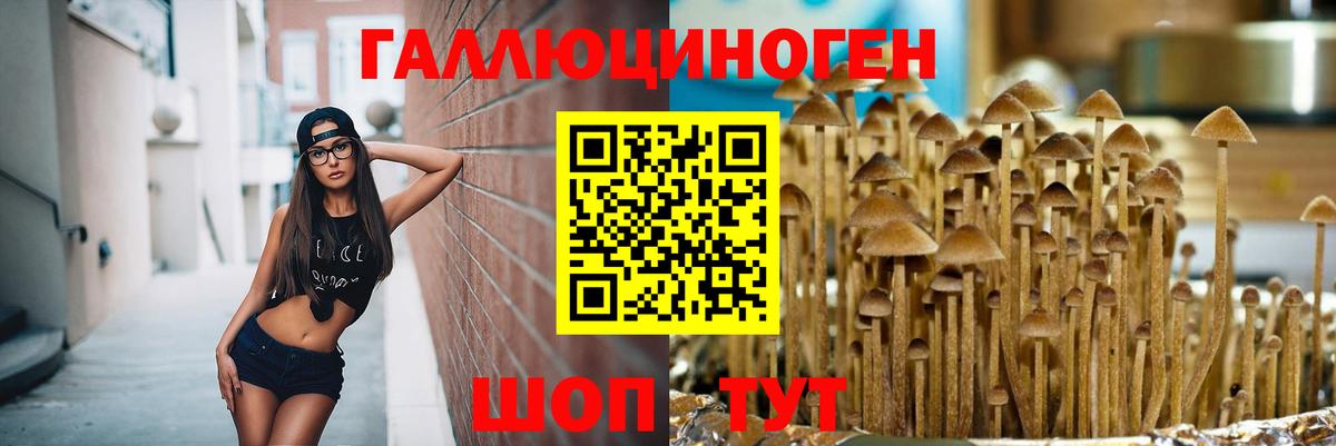 Бийск  Альфа ПВП СОЛЬ кристаллы  ГАШИШ  МАРИХУАНА  Меф МЯУ МЯУ кристаллы  COCAIN  MDMA 