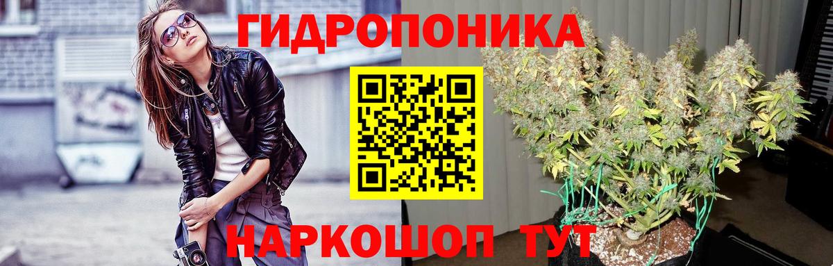 Бийск  Шишки марихуана OG Kush  Вход с VPN  Канабис семена  Марихуана план 
